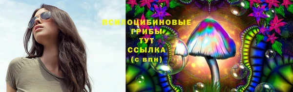 2c-b Краснослободск