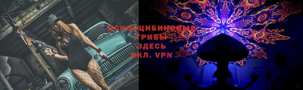 apvp Беломорск