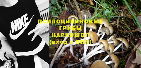 эйфоретик Белокуриха