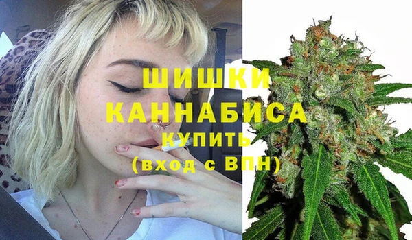 эйфоретик Белокуриха