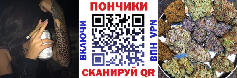 дарк нет телеграм Курчалой Каннабис Amnesia